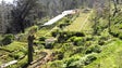Mais 288 mil árvores no Parque Ecológico do Funchal