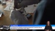 Imagem de Ilhas concentram dois terços das drogas sintéticas detetadas em Portugal (vídeo)