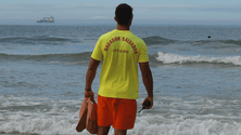 Imagem de Madeira tem 124 nadadores salvadores (vídeo)