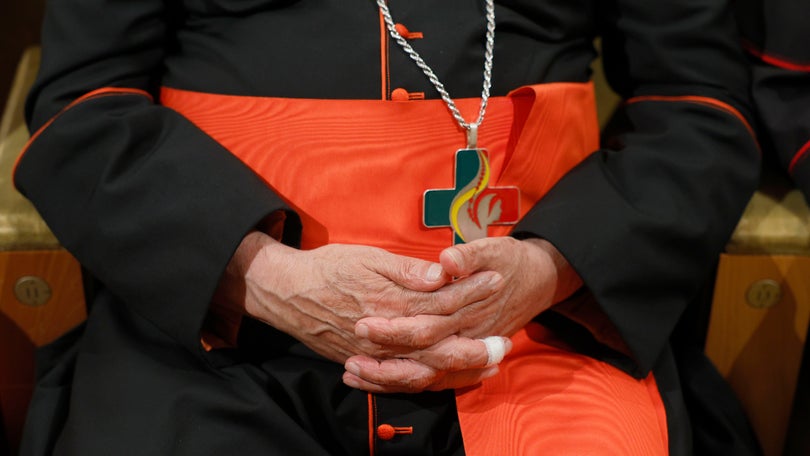 Imagem de Morreu peregrina francesa que sofreu acidente