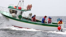 Imagem de Pescadores criam cooperativa para valorizar o pescado (Vídeo)