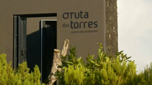 Imagem de Pico apresenta vinho Gruta das Torres (Vídeo)