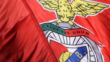 Imagem de Ações da Benfica SAD caem 5,5% para 2,91 euros