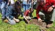 Imagem de Arrancou, hoje, a 2.ª edição do projeto ‘Plantar o Futuro’