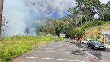 Imagem de Incêndio consome várias zonas de mato na Prazeres (vídeo)