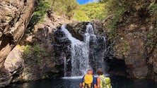 A Madeira deve procurar diversificar mercados – Turismo de Portugal