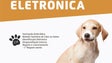Imagem de Mais de 100 animais vacinados em campanha promovida pelo município de Câmara de Lobos