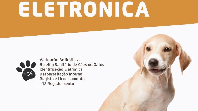 Imagem de Mais de 100 animais vacinados em campanha promovida pelo município de Câmara de Lobos