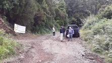 Imagem de Associação quer Laurissilva como bem natural em perigo