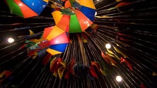 Imagem de Porto Santo celebra o São João a partir de hoje e até dia 24 de junho (Áudio)