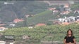 Imagem de GESBA vai assumir os custos dos produtores depois dos atrasos (vídeo)