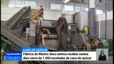 Engenhos da Madeira começaram a laborar