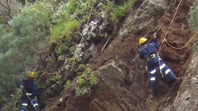 Imagem de Madeira vai formar rocheiros de Cabo Verde