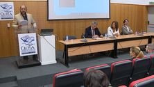 Imagem de Contar histórias da Madeira desde o século XV (vídeo)