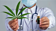 Imagem de Tailândia descriminaliza consumo de canábis para fins medicinais