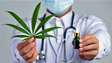 Imagem de Tailândia descriminaliza consumo de canábis para fins medicinais