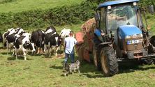 Encerramento das Jornadas Agrícolas da Praia da Vitória