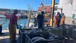 Pesca de atum patudo encerrada a partir de hoje (áudio)