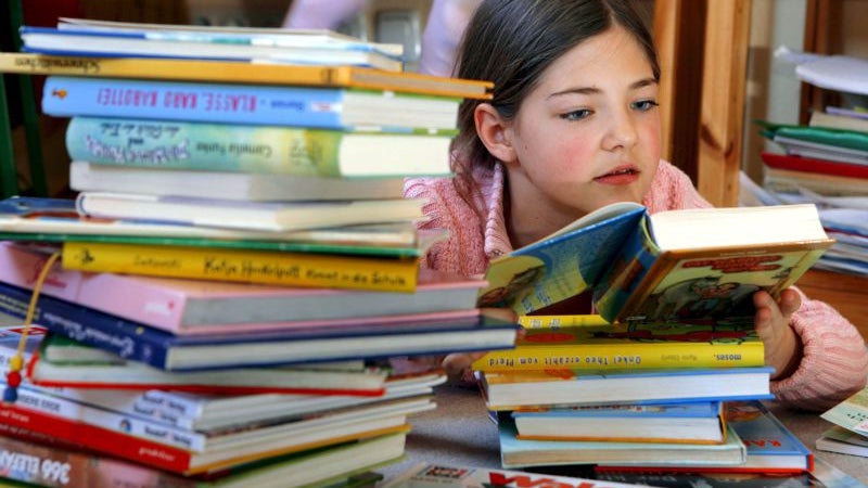 Imagem de Plano Nacional de Leitura cria prémio para quem promover melhor o prazer de ler