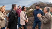Imagem de Deputados do PSD destacam apoio do Governo Regional às vítimas dos incêndios (áudio)