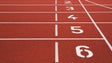 Imagem de Quatro equipas madeirenses lutam por um lugar na 1.ª  divisão de atletismo