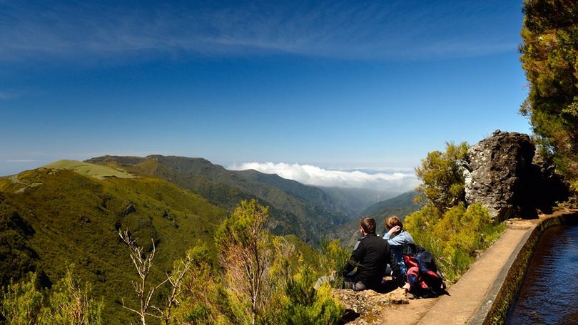 Imagem de Madeira é a região do país com maior taxa de ocupação em setembro