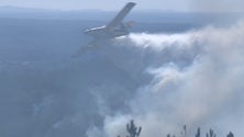 Europa financia frota aérea de combate a incêndios florestais (vídeo)