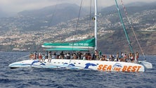 Imagem de Procura por passeios de barco diminuiu este ano