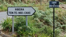 Imagem de Polícia identifica suspeito de fogo em mato no Machico