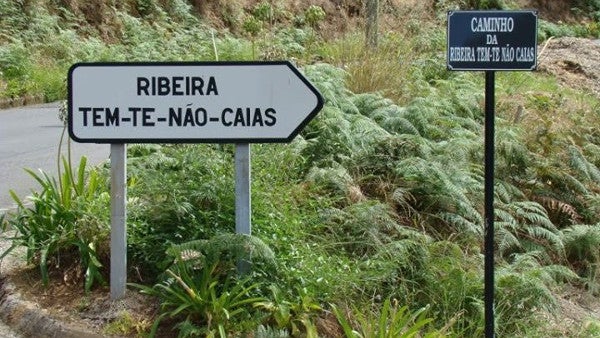 Imagem de Polícia identifica suspeito de fogo em mato no Machico