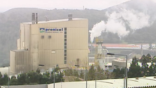 Imagem de Federação Agrícola quer aumento do preço do leite ao produtor (Vídeo)