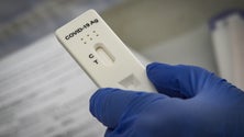 Imagem de Incidência ultrapassa 400 casos por 100 mil habitantes