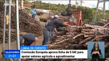 Imagem de Bruxelas aprova apoio de 5 milhões de euros para os setores agrícola e agroalimentar na Madeira (Vídeo)