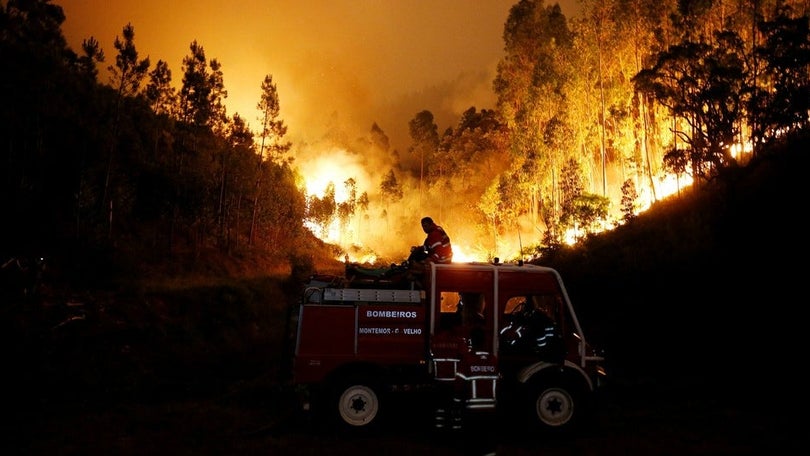 2021 é o ano com menor número de fogos