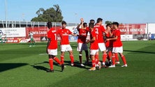 Imagem de Benfica vence Marítimo (vídeo)
