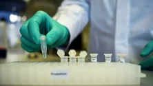 Imagem de Projeto visa reduzir o risco de cancro em síndromes tumorais hereditárias muito raras