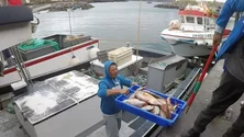 Imagem de Trabalhadores da Lotaçor vão receber aumentos salariais (Vídeo)
