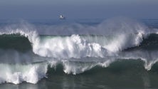 Imagem de Ondas na Madeira podem chegar ao cinco metros