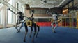 Imagem de Robots já sabem dançar (vídeo)