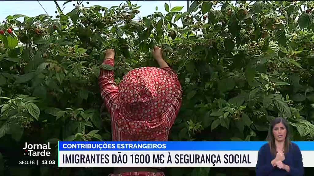 Imigrantes em Portugal deram 1.600 milhões à Segurança Social em 2022