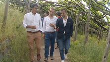 Imagem de PSD quer outras entidades a gerir percursos recomendados (vídeo)