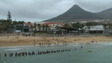 Imagem de Porto Santo recebe Nacional Absoluto e de Clubes de triatlo (vídeo)