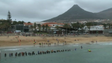 Porto Santo recebe Nacional Absoluto e de Clubes de triatlo (vídeo)