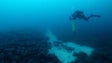 Imagem de Barco romano carregado de ânforas portuguesas