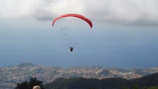 Imagem de Não há financiamento europeu para reflorestar as zonas ardidas do Parque Ecológico do Funchal