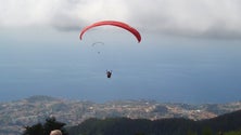 Não há financiamento europeu para reflorestar as zonas ardidas do Parque Ecológico do Funchal