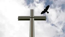 Imagem de Vítimas de abusos sexuais na Igreja pedem ajuda a associação após relatório