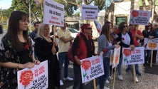 Imagem de Professores manifestaram-se à porta da Assembleia