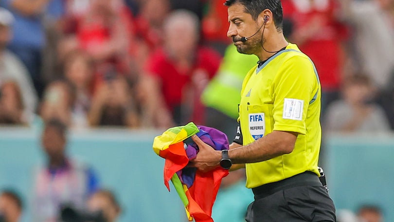 Imagem de Bandeira LGBT «interrompeu» o jogo de Portugal