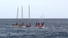 Faial e Pico receberam regata de botes baleeiros (Vídeo)